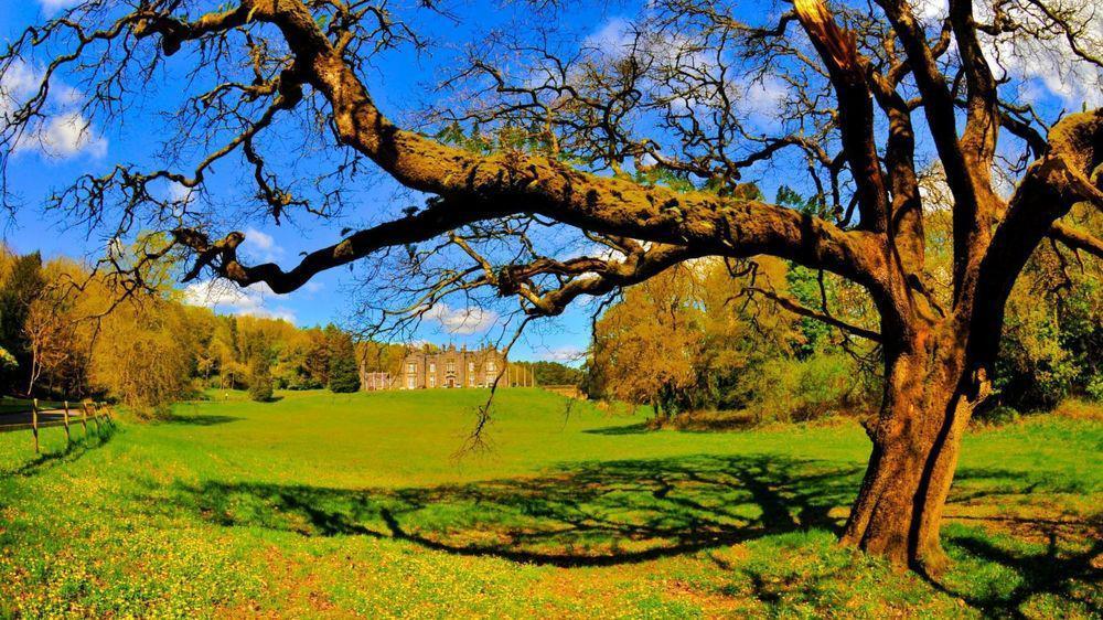 Belleek Castle Hotel Ballina  Buitenkant foto